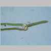 Leaf Cross 40er 01.jpg